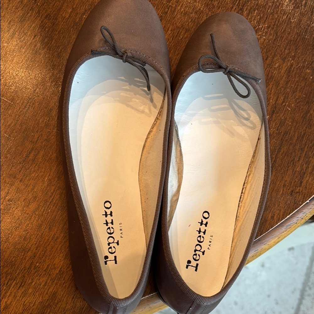 Repetto Women's Brown Ballet Flats